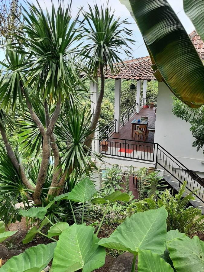 Liri Villa - Ocean, Hills, Valley View ロヴィーナ エクステリア 写真